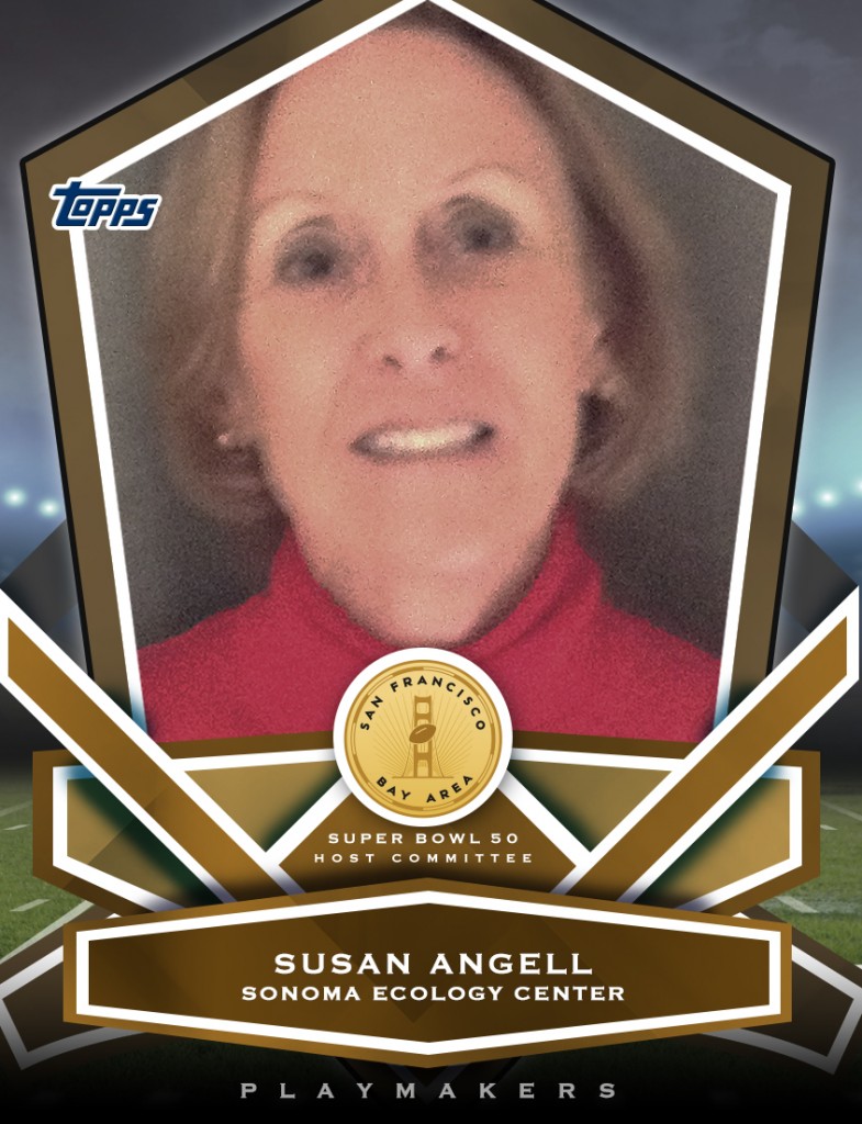 playmakers_susan_angell_l